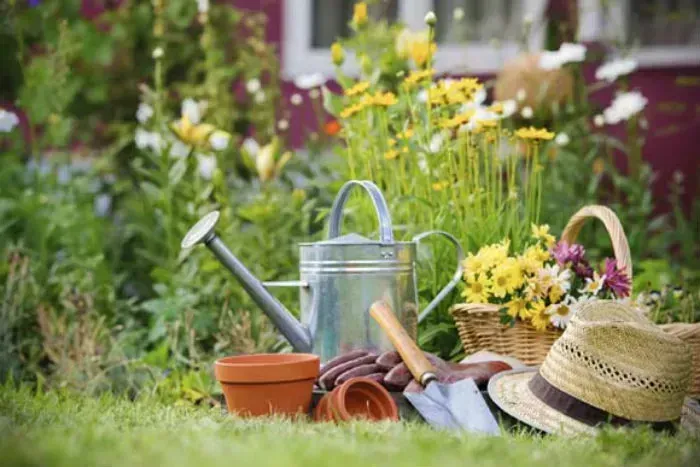 Empresa de paisagismo e jardinagem