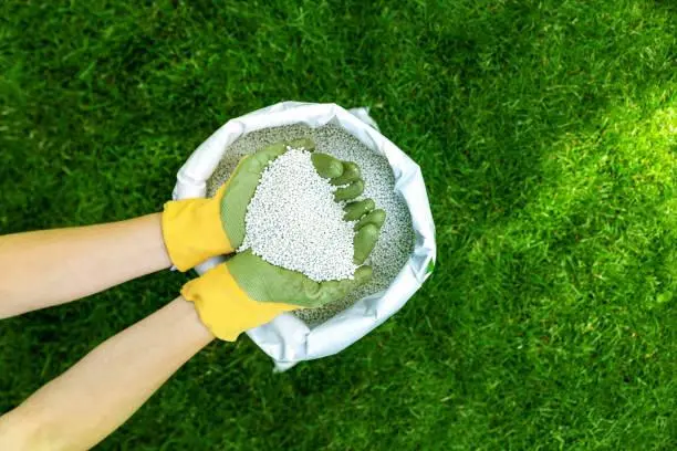Insumos para plantio geral