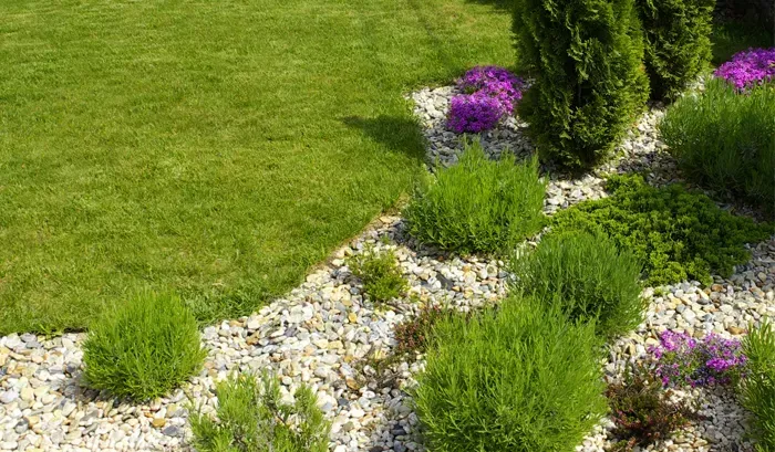 Paisagismo e jardinagem em vinhedo