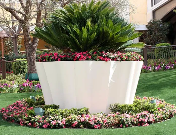 Imagem Ilustrando Flores Primavera