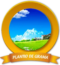 Plantio de Grama